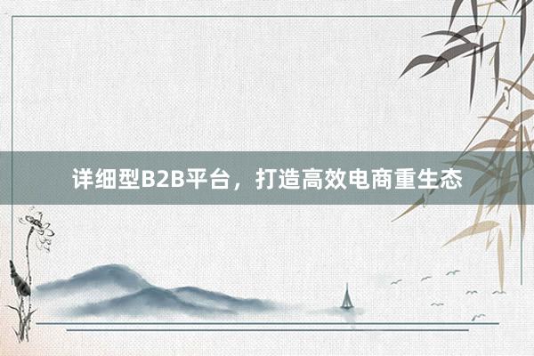 详细型B2B平台,打造高效电商重生态
